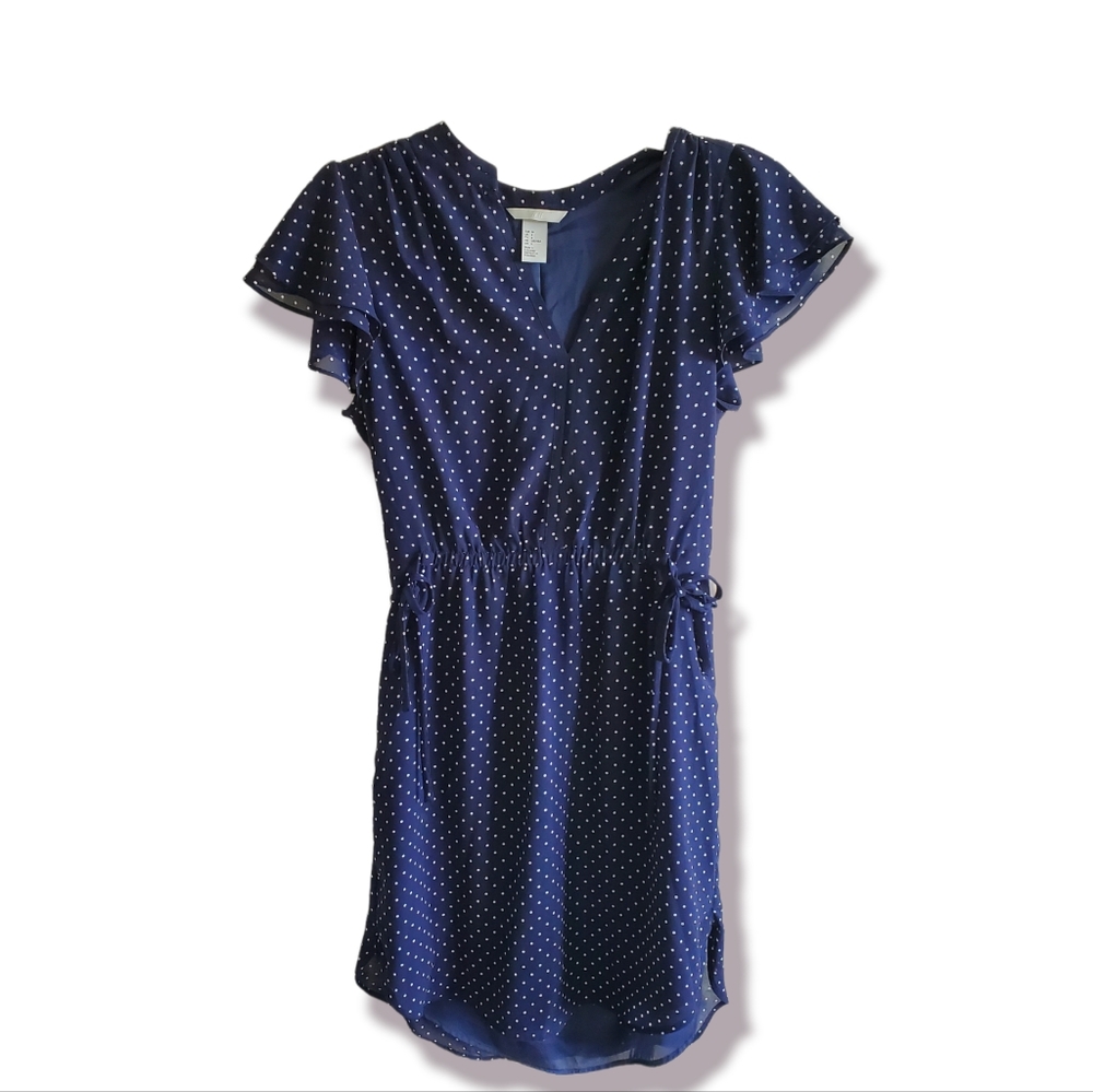 H&M Chiffon Polka Dot Dress
